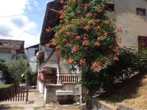 Peter Ranch 3 Vico Canavese Exterior foto